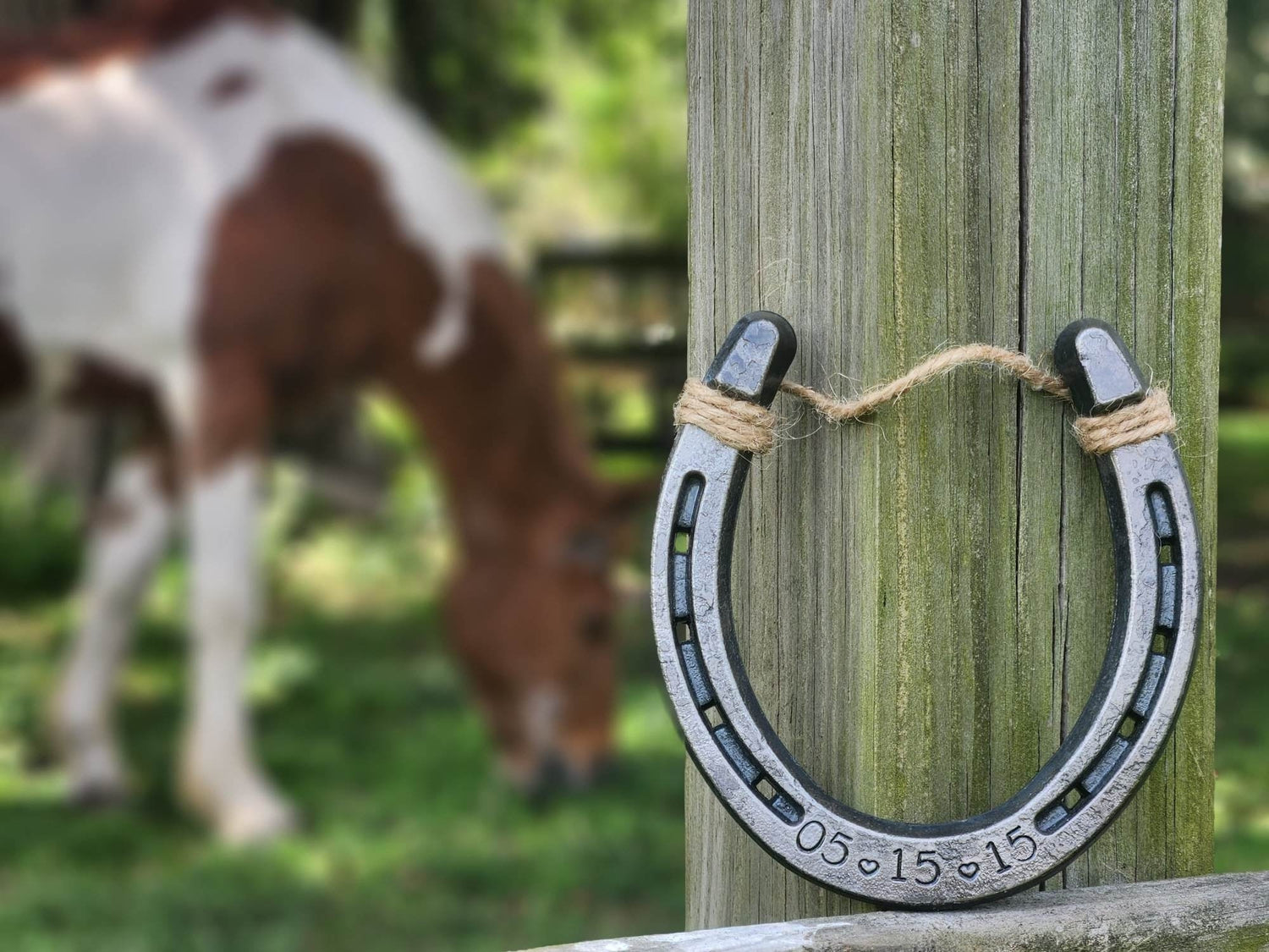Horse blurred in the background with a customized horseshoe leaning against a fence. The horseshoe is personalized with a date.