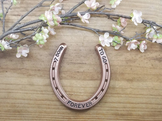 Copper painted horseshoe with 7 Down Forever to Go stamped on it