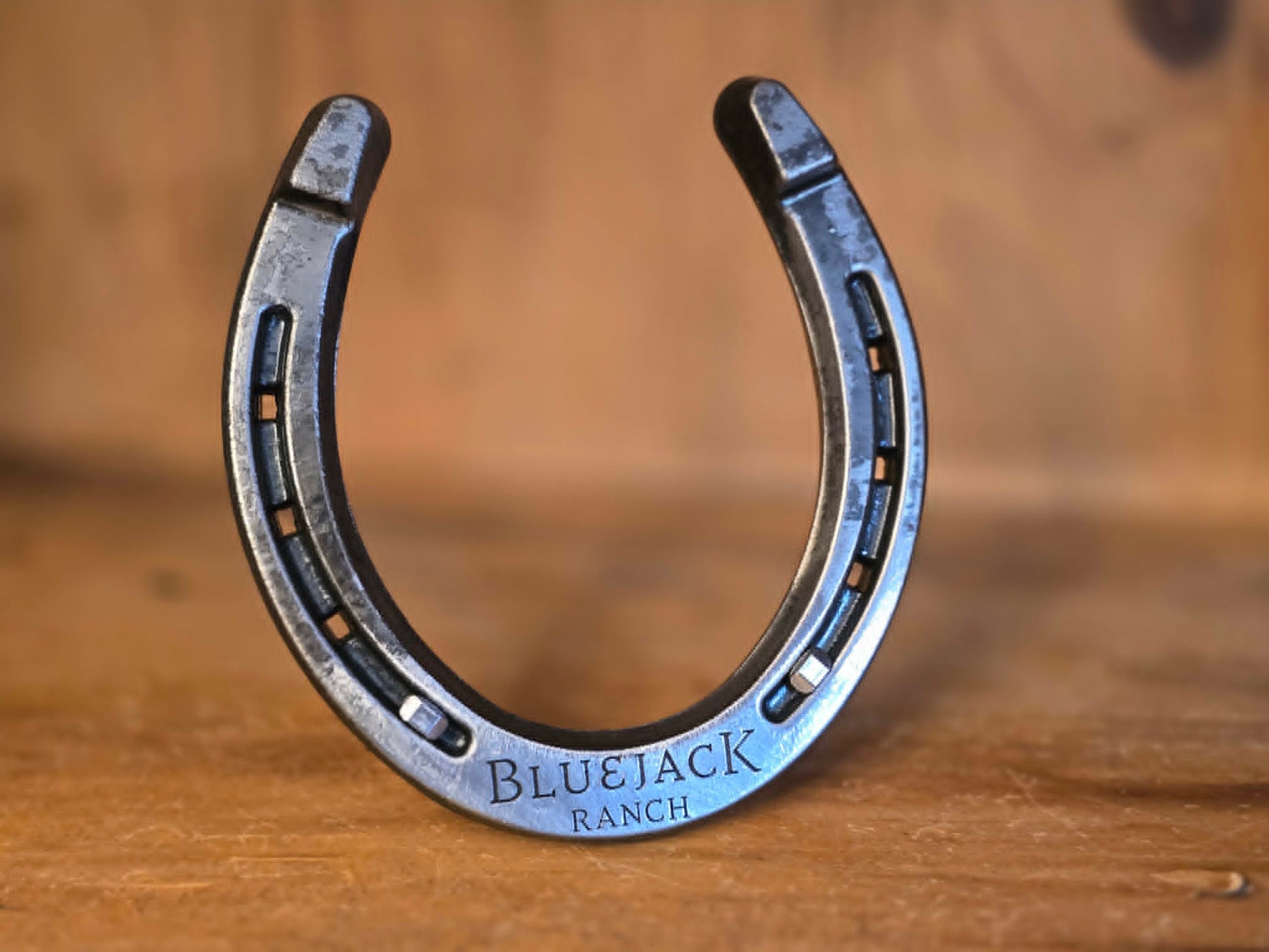 Real horseshoe engraved with a company logo along the bottom. Displayed freestanding with horseshoe nails.