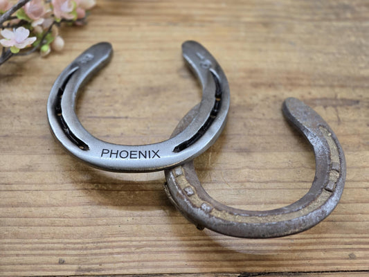 Customer's own horses's shoes personalized with the name and cleaned up for displaying