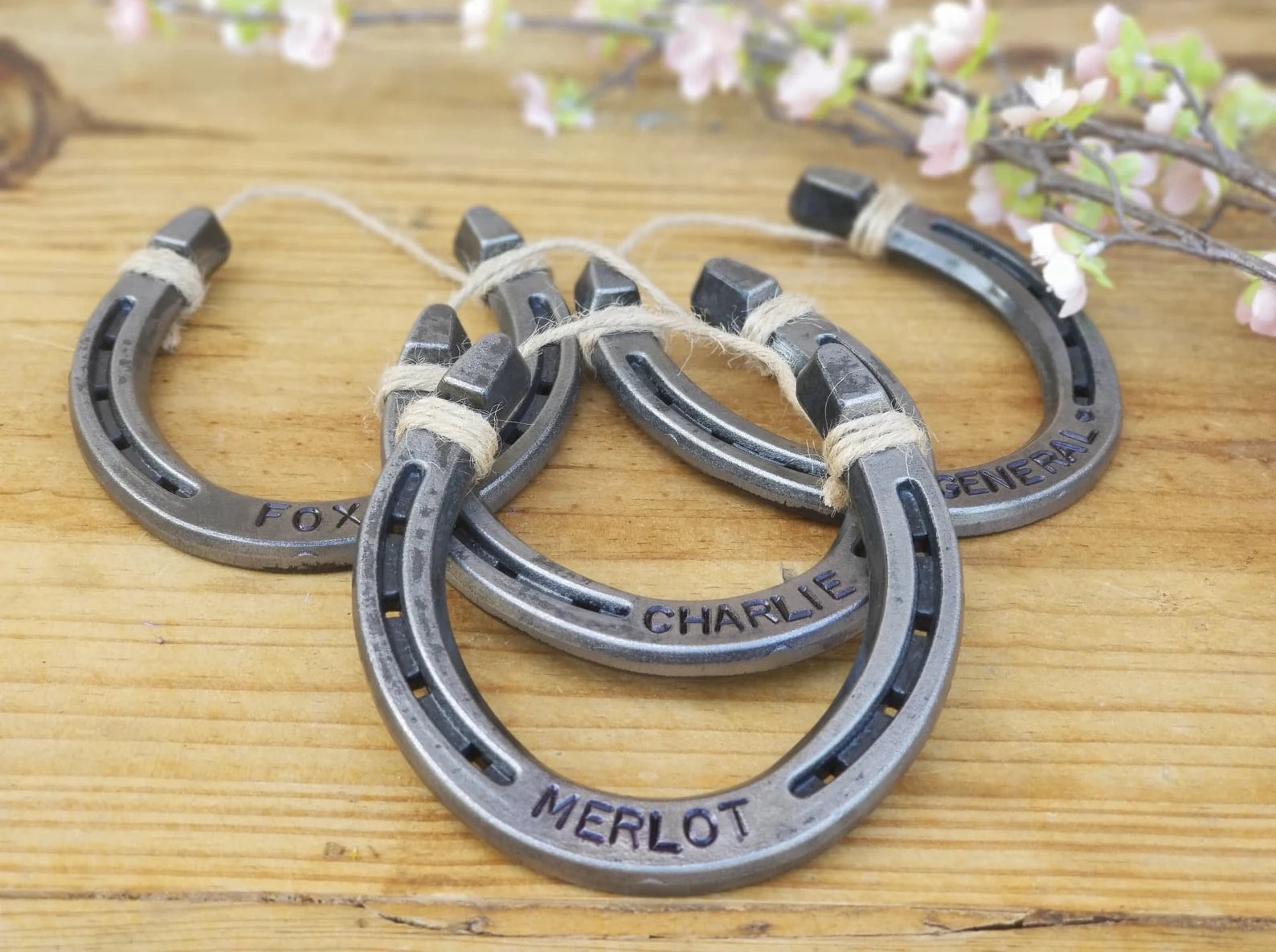 Group photo of multiple horseshoes personalized with different names